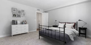 Jaclyn Terrace Gallery 9