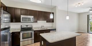 Lantower Westshore Gallery 2
