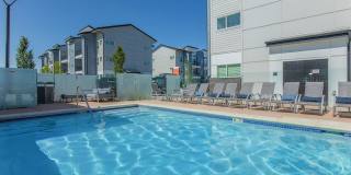 Proximo at Pena Station Gallery 32