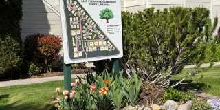 2659 Sycamore Glen Unit 3 Sparks, NV 89434 Gallery 20