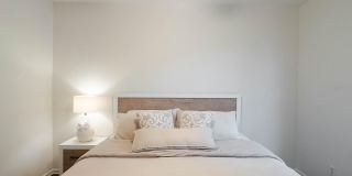 581 BRANTLEY TERRACE WAY Gallery 29