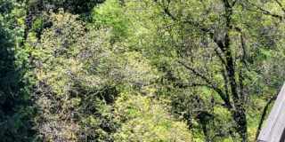 3 Bedroom 2 bath recently updated Gallery 38