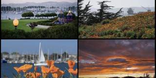 15 Shoreline Ct Gallery 2