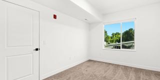 L59 Gallery 8