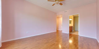 799 Graceland Avenue Gallery 22