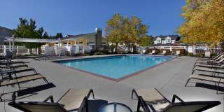 Liberty Hill Gallery 17