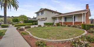 1631 Puerto Vallarta Dr Gallery 1