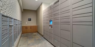 The Hite and Notch Gallery 17