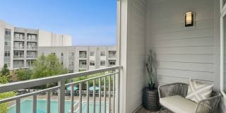 The Daley at Shady Grove Apartments Gallery 5
