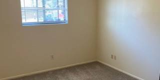 MGS University LLC Gallery 8