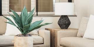 Affordable Housing -  Bridges at Mallard Creek Apartment Homes Gallery 56