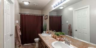 10825 Coronado Pointe Drive Gallery 5