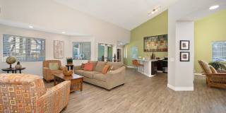 Forest Glen Gallery 5