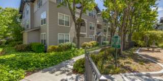 The Presidio Apartments Gallery 48