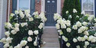 1982 Teasel Court - 1 Gallery 1