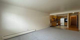 Ogden Arms Gallery 21