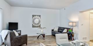 Woodland Meadows Gallery 41