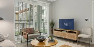 Aster at the Summit Gallery 7