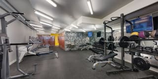 Central Gallery 25