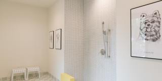Haven at Towne Center Gallery 24