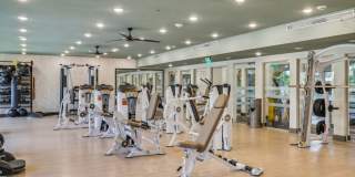 Aspire at Flamingo Grand Gallery 40