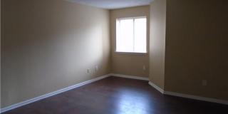 St. Albens Glen Gallery 9