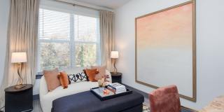 Vine North Hills Gallery 15