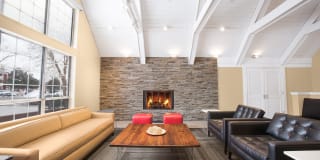 TGM Springbrook Gallery 12