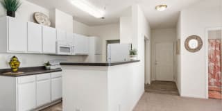 Marley Manor Luxury Apartment Homes Gallery 9