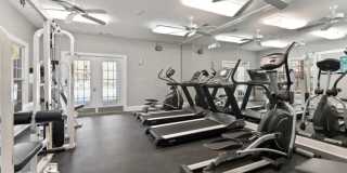 Carrington Point Gallery 9