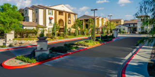 Paseos At Magnolia Luxury Apartment Homes Gallery 68