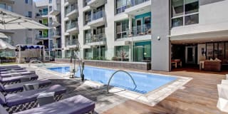 The Pacific Gallery 1