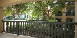 Skyview Gallery 17