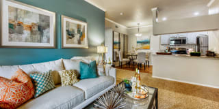 Stonebridge Ranch Gallery 7