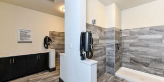 Gateway Chastain Gallery 25