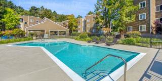 Serramonte Ridge Gallery 18