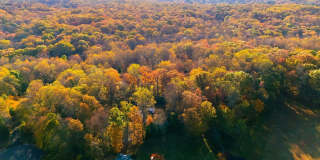 10747 RIVERSCAPE Run Gallery 1