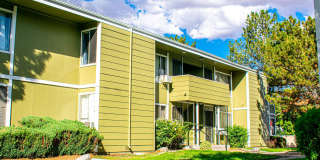 The Meadows Gallery 7