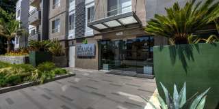 Toluca Lofts Gallery 1