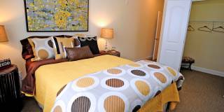 Cambria at Cornerstone Apartments Gallery 13