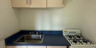 Bayard Manor Gallery 151