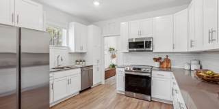 Hamlet Wildlight Gallery 14