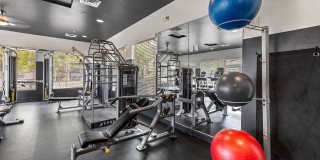 Mountain Trail Gallery 17