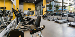 Osprey Apartments Gallery 47