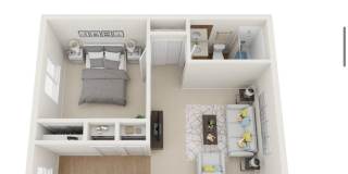 Dodson Courtyard Apartments 1 & 2 Bedrooms Available Gallery 13