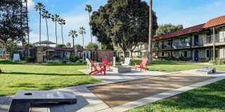 Tierra Palms Gallery 91