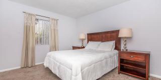Saguaro Villas Gallery 28