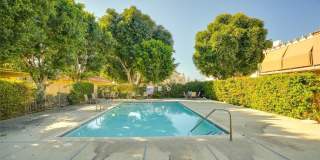 833 Cinnamon Gallery 30