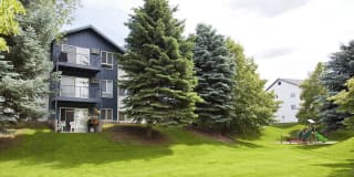 Whimsical Pig Gallery 27