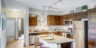 Palisade Park Gallery 1